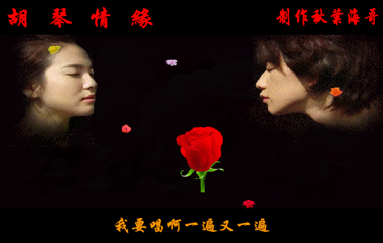 胡琴情缘（秋叶海哥） 截图 6/8