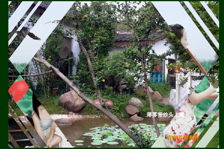 荷花颂（sz_yxf） 截图 4/8