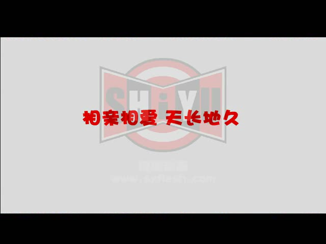 婚礼动画-变形金刚2（syflash） 截图 4/8