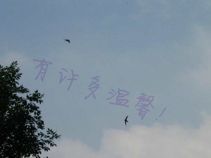 感恩生活（hj179） 截图 8/8