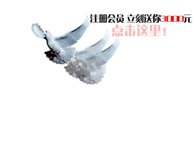 LG电子网站广告（aron） 截图 1/8