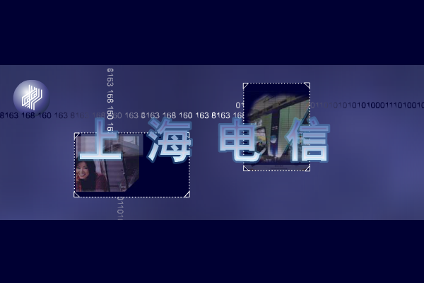 上海电信（阿霉） 截图 8/8