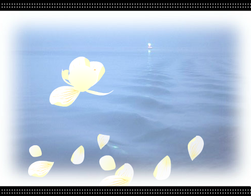 彼岸花[王菲]（马宁宁） 截图 8/8