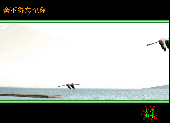 舍不得忘记你（好巧） 截图 5/8