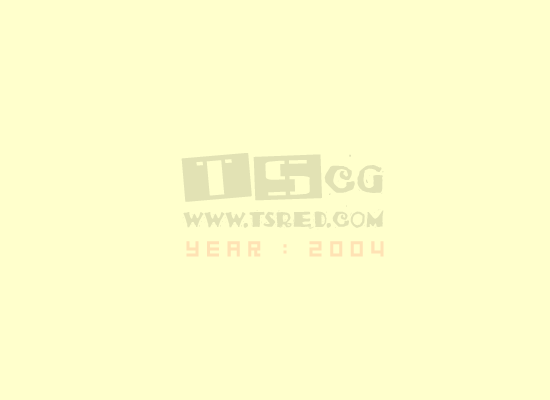 2004生日快乐（TS） 截图 2/5