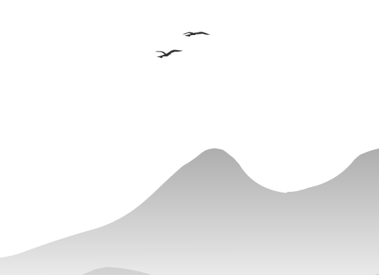 清明 截图 3