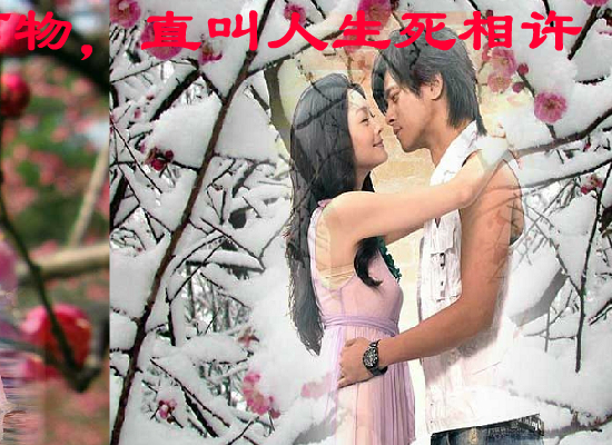 梅花三弄（hustyuyq） 截图 6/8