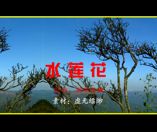 水莲花图 截图 3/5