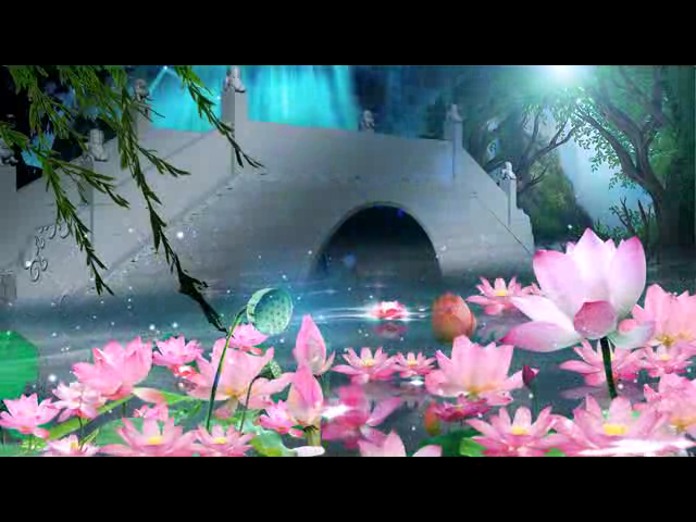 荷花（钟华锦绣） 截图 7/8