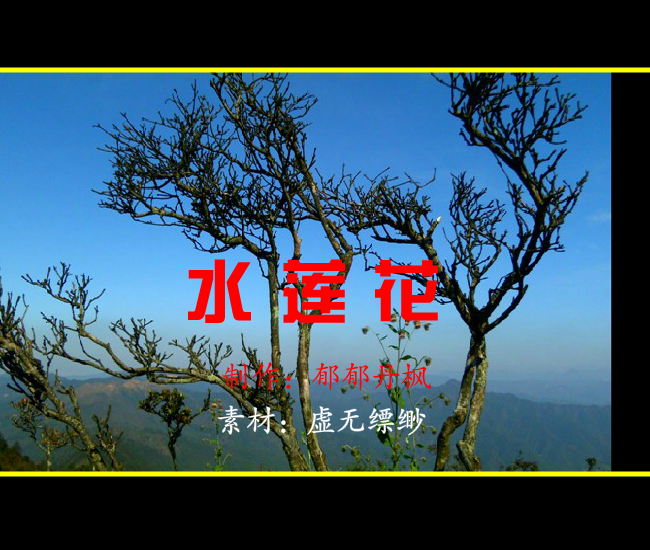 水莲花图 截图 4/5