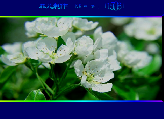 想把情人留（612955） 截图 3/8
