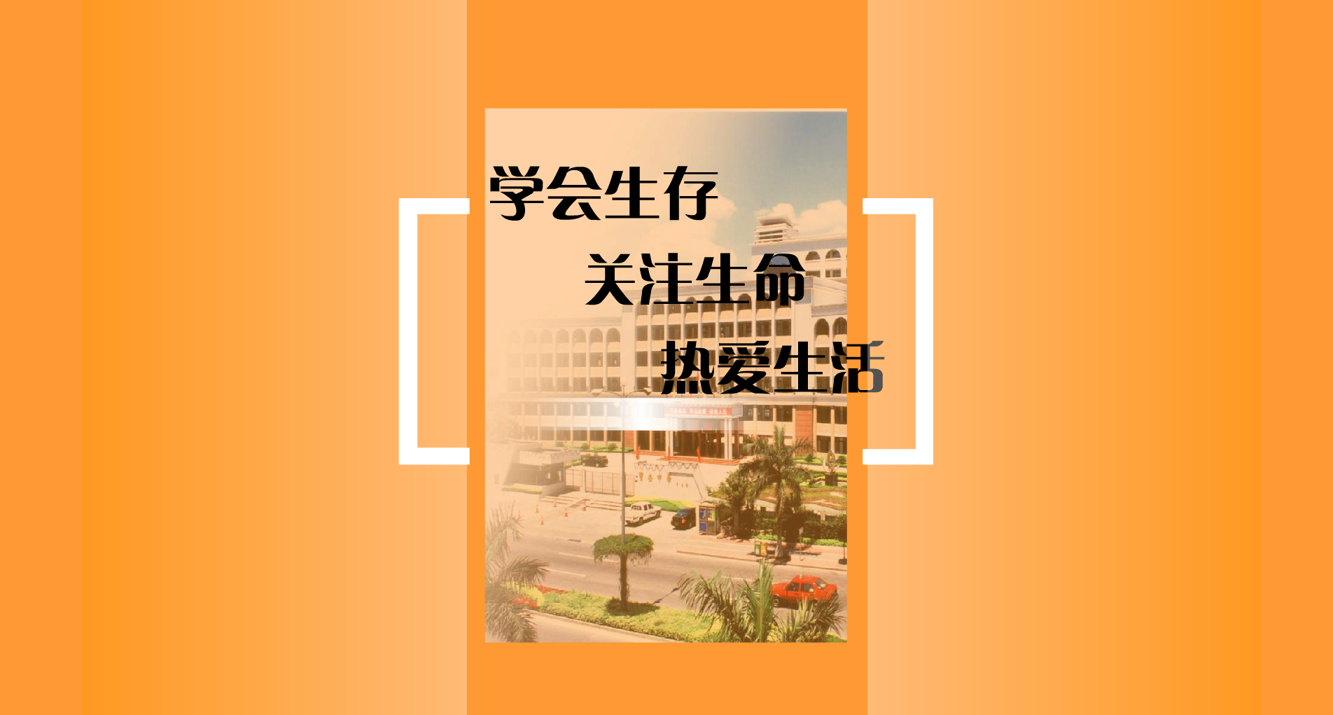 不要和陌生人说话 截图 4