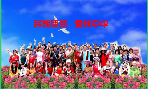 民族团结爱我中华（重阳秋林） 截图 4/8
