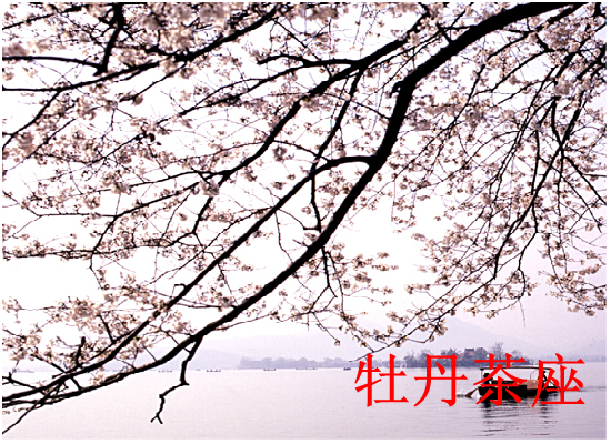 贺卡：梅花（1798） 截图 3/8