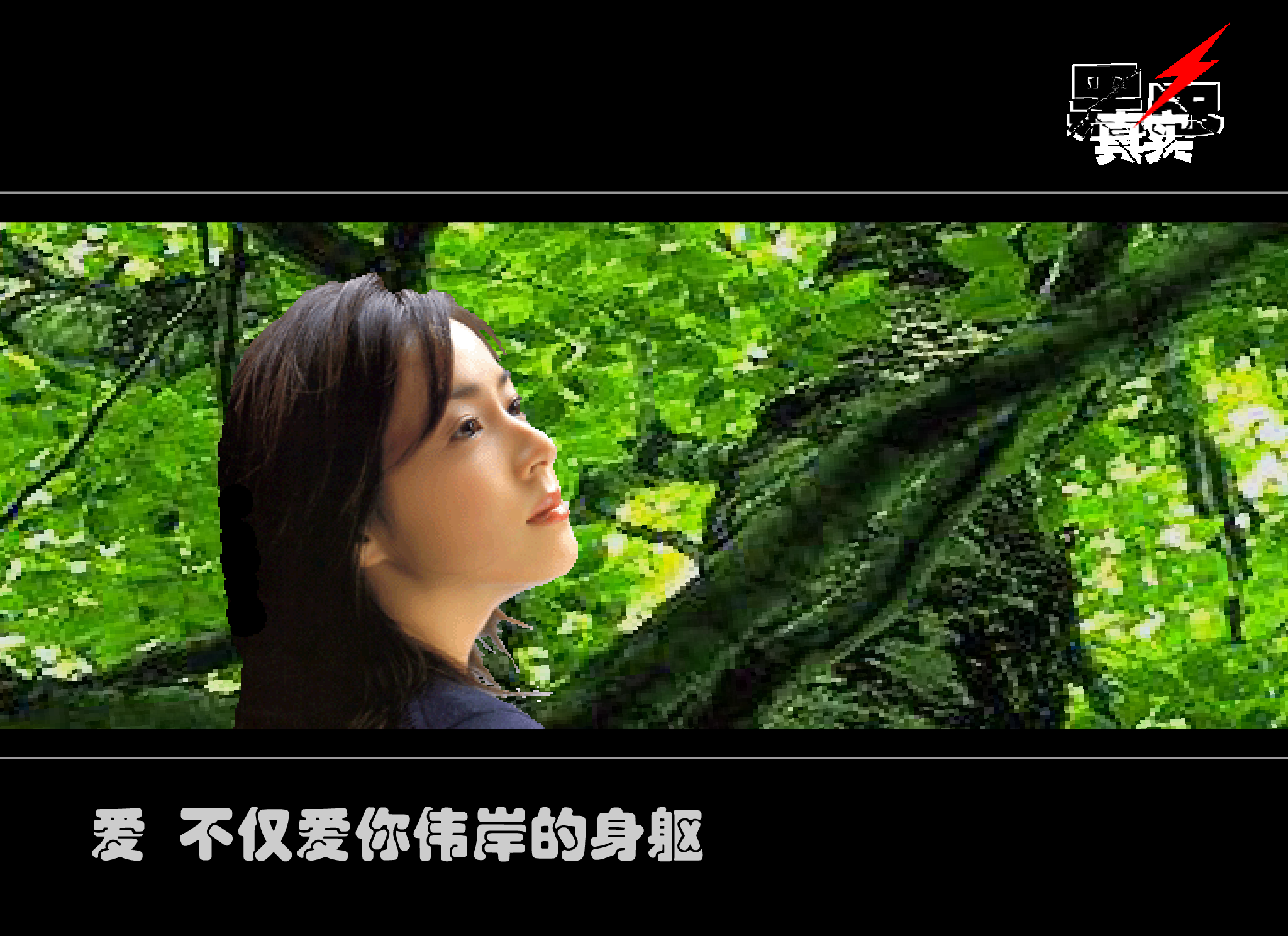 致橡树舒婷（黑色真实） 截图 4/8