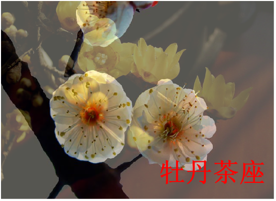 贺卡：梅花（1798） 截图 6/8