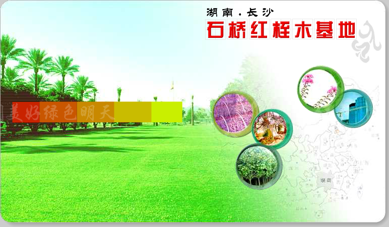 网站片头（快乐小珂） 截图 8/8