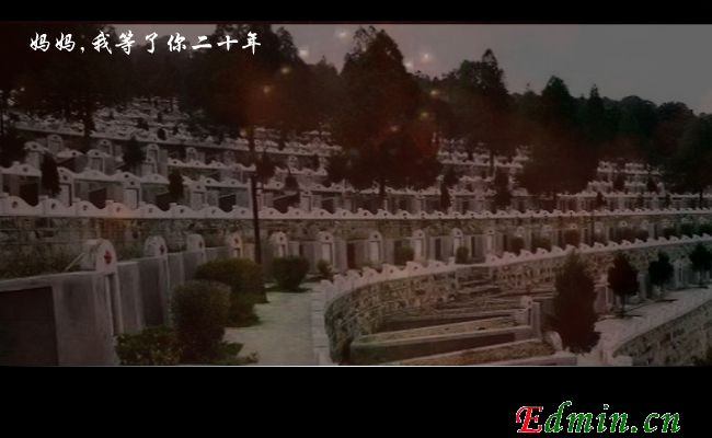 妈妈我等了你二十年（qqcyxyz） 截图 4/8