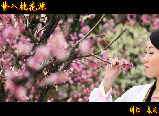 梦入桃花源（指间春色） 截图 1/8