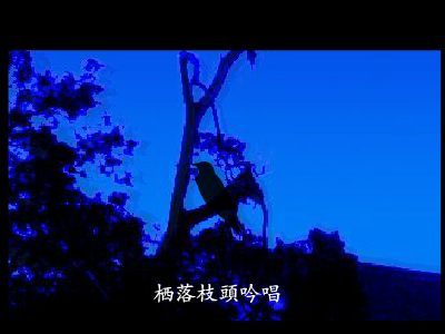 睡莲（坏玉） 截图 8/8
