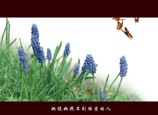 失踪[林忆莲]（豆豆418） 截图 1/8