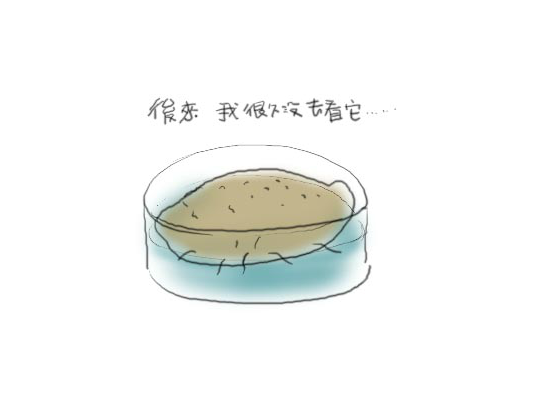家园（未知） 截图 4/6