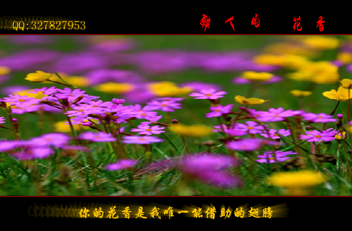 醉人的花香（wxm671022） 截图 8/8