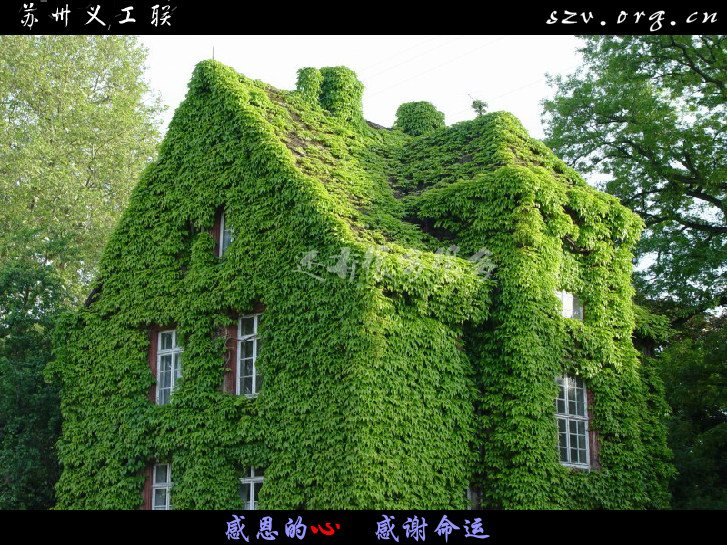 欧阳菲菲 感恩的心（jsfeng.com） 截图 7/8