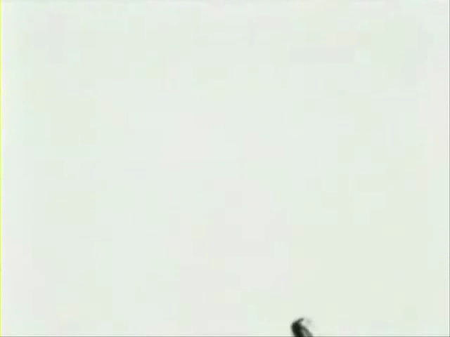 枪女片段（森娃） 截图 5/8