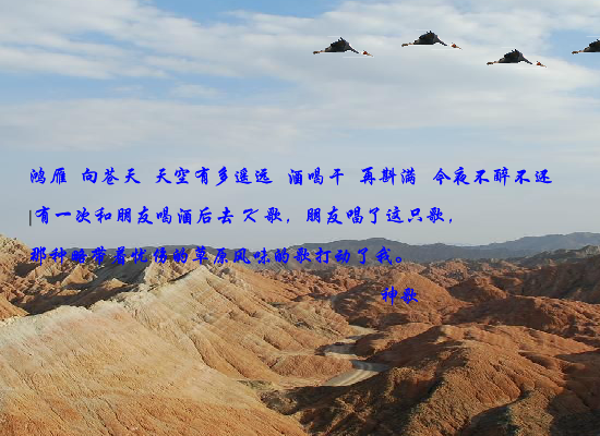 鸿雁（czchina） 截图 2/8