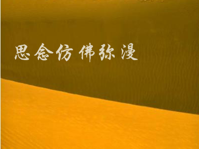 丝路（BB） 截图 7/8