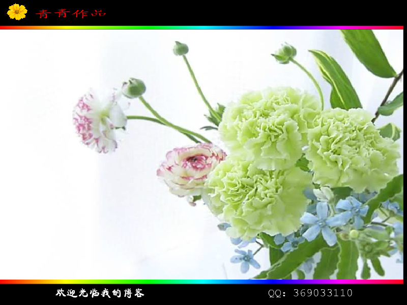 致渐行渐远的青春（恩施青青） 截图 3/8