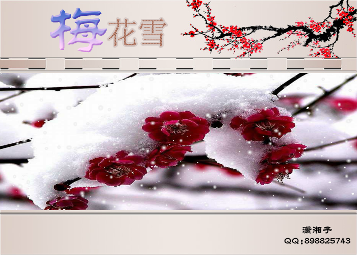 梅花雪（潇湘子） 截图 5/8