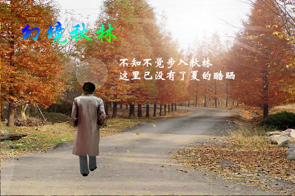 幻境秋林（yriql） 截图 2/7