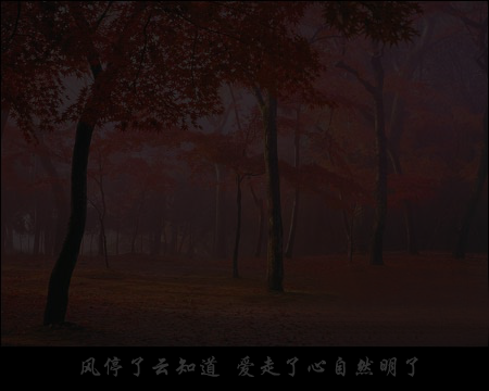 答案随着枫叶飘（mszxf） 截图 1/8