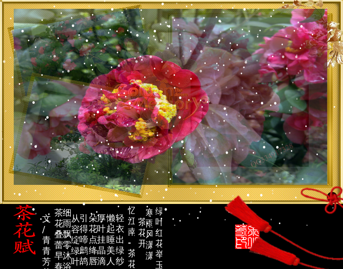 茶花赋（sz_yxf） 截图 3/8