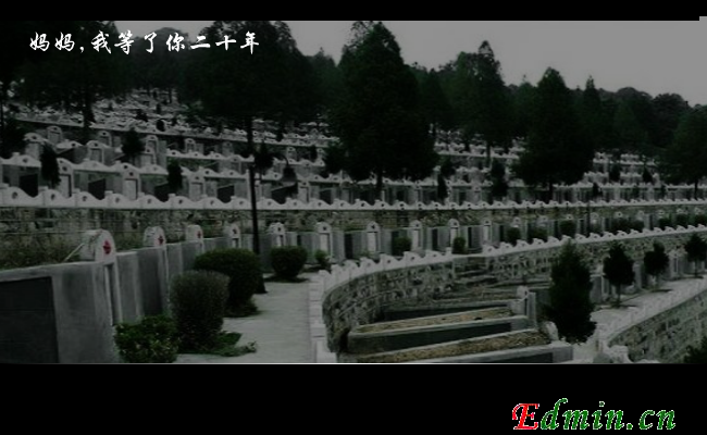 妈妈我等了你二十年（qqcyxyz） 截图 6/8