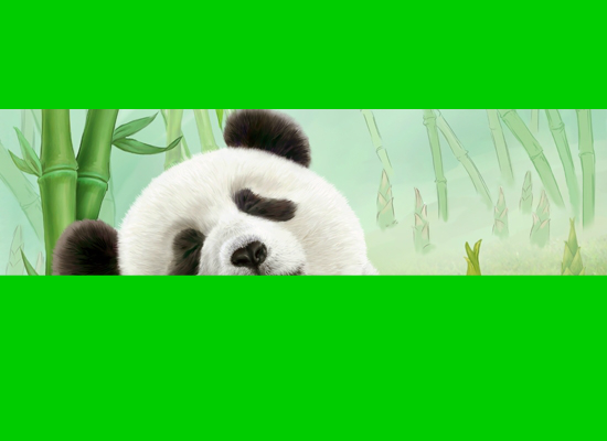 94年美国世界杯歌曲我们是冠军（晨梦鸣） 截图 4/5