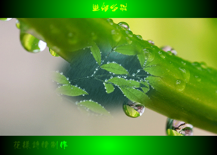 雨的印记（火星人QQ） 截图 4/8