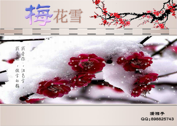 梅花雪（潇湘子） 截图 4/8
