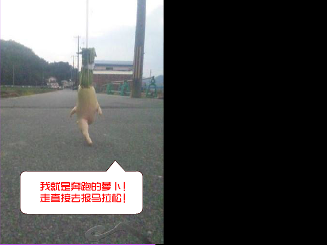 奔跑的大萝卜 截图 5/5