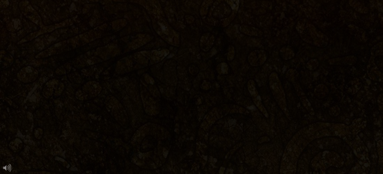 Z958-GHZD-D7WP 截图 6/8