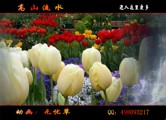 高山流水（无忧草） 截图 7/8