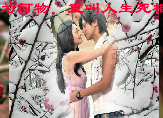 梅花三弄（hustyuyq） 截图 1/8