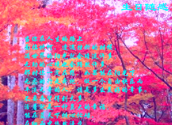 生日随感（Blue） 截图 5/8