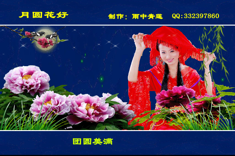 月圆花好（雨中青莲） 截图 6/8
