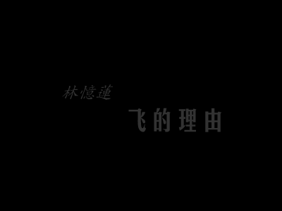 林忆莲：飞的理由（不详） 截图 7/8