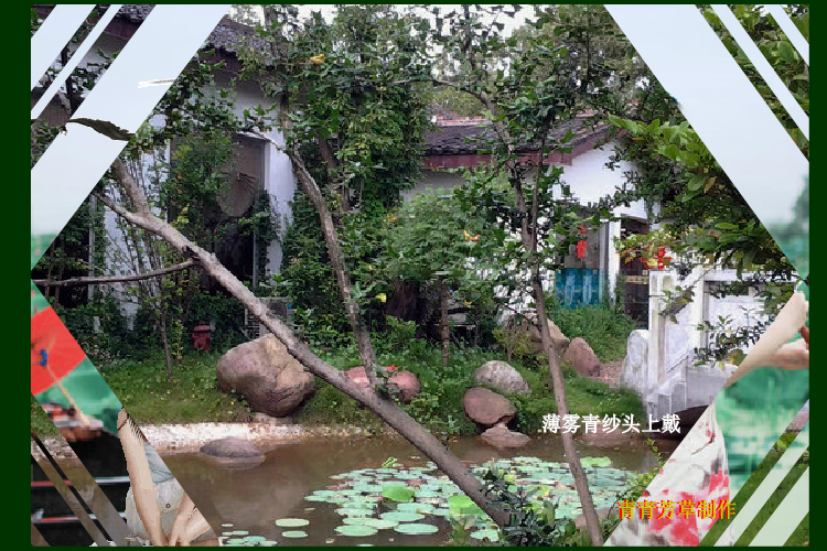 荷花颂（sz_yxf） 截图 6/8