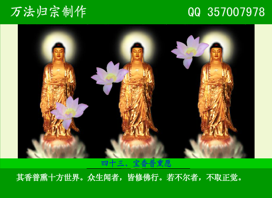 阿弥陀佛四十八大愿（万法归宗） 截图 7/8
