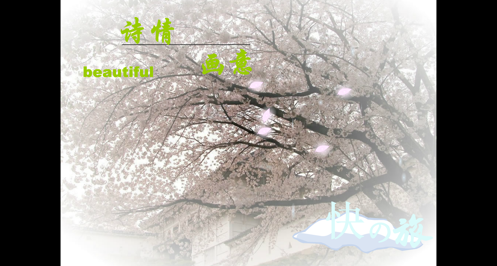 畅游张家界 截图 4